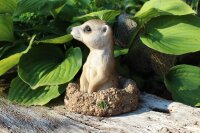 Gartenfigur grabendes Erdmännchen
