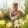 20 Servietten Osterhase