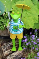 Frosch Jochen mit Handy