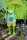 Frosch Jochen mit Handy