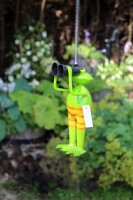 Frosch Spanner hüpfend