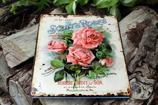 Shabby Blechschild Rosen