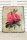 Shabby Blechschild Rosen Nostalgie