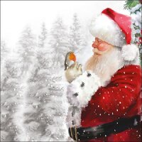 20 Servietten Weihnachtsmann mit Vogel