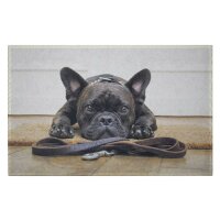 Fußmatte Französische Bulldogge