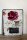 Shabby Blechschild Nostalgie Rose