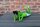 Frosch mit Fernglas liegend