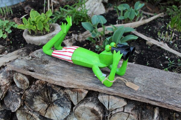 Frosch Spanner liegend rot