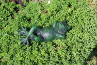 Gartenfigur Frosch liegend