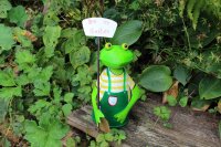 Zaunhocker Frosch Bin im Garten