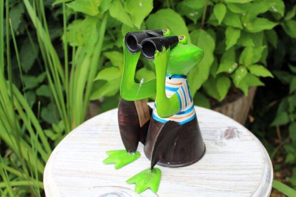 Zaunhocker Frosch mit Fernglas II