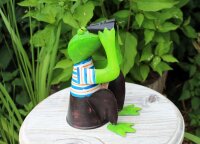 Zaunhocker Frosch mit Fernglas II