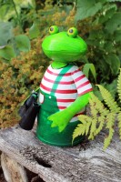 Zaunhocker Frosch Gärtner mit Fernglas