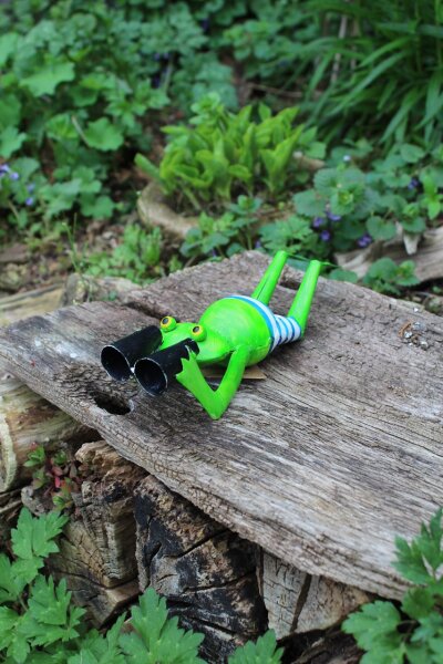 Frosch Spanner liegend