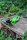Frosch Spanner liegend