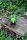 Frosch Spanner liegend