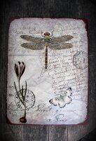 Shabby Blechschild Libelle Schmetterling