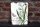 Shabby Blechschild Botanischer Garten
