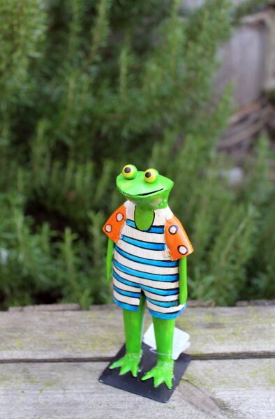 Frosch Spanner Mini mit Fernglas 1 Stk sortiert Gartenfigur Gartendeko Dekofigur 