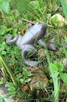 Gartenfigur Frosch Gusseisen groß