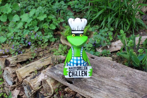 Zaunhocker Frosch Grillen Chillen