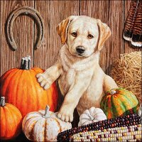 20 Servietten Hund mit Kürbis