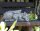 Gartenfigur Drache Snoozy schlafend