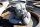 Gartenfigur Gargoyle Grumblethorpe