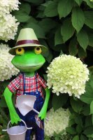 Gärtner Frosch Opa Friedrich