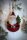 Christbaumschmuck Weihnachtsmann Nostalgie