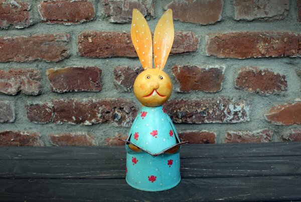 Zaunhocker Hase mit Buch