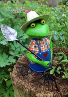 Zaunhocker Gärtner Frosch