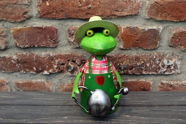 Zaunhocker Gärtner Frosch Gießkanne