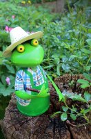 Zaunhocker Gärtner Frosch Rechen