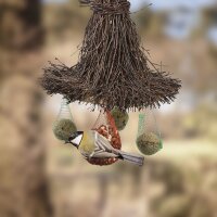 Vogel Futterdach Birke