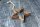 Christbaumschmuck Rost Stern D10cm