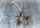 Christbaumschmuck Rost Stern D10cm