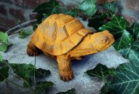 Gartenfigur Schildkröte Edelrost