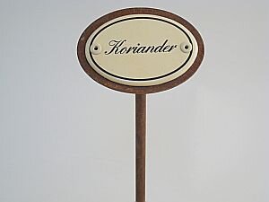 Koriander