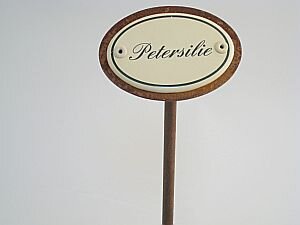Petersilie
